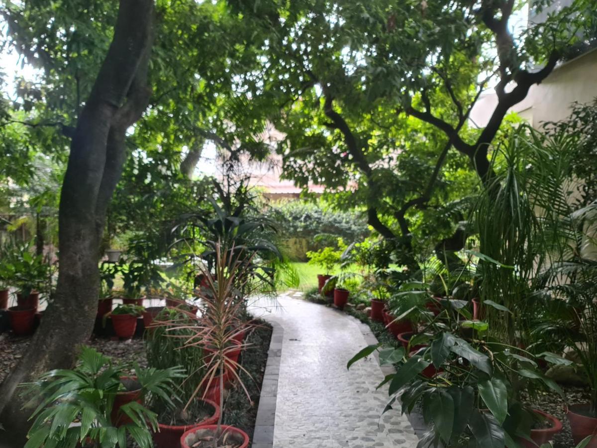 Lychee Bungalow Дехрадун Экстерьер фото